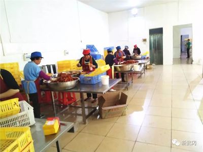 家门口的“扶贫工厂” 龙溪镇以食品销售为抓手，提升脱贫质量新亮点
