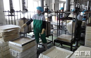 天人和 宁夏食品企业荣膺中国豆制品样板工厂，引领健康饮食新风尚